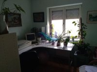 Nekretnina: Trosoban stan, NOVI SAD, TELEP