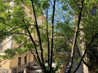 Nekretnina: STARI GRAD Simina ID: 163857