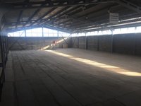 Nekretnina: Magacin u Rakovici, dva nivoa, struja 50kw