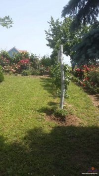 Nekretnina: Kuća Beograd Sopot  200m² +1 hektar i 23 ari placa