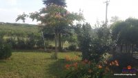 Nekretnina: Kuća Beograd Sopot  200m² +23 ari placa
