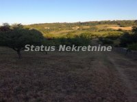 Nekretnina: Kameničke Livade-odličan građevinski plac 2500 m2 na Rumskom putu-065/385 8880