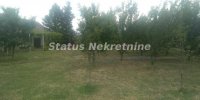 Nekretnina: Čurug-Porodično Imanje sa 3 jutra zemlje-065/385 8880