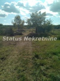 Nekretnina: Lep Veliki Plac 4152 m2 na glavnom Magistralnom Putu za Begeč-065/385 8880