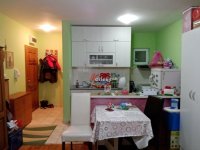 Nekretnina: Garsonjera, NOVI SAD, NOVA DETELINARA