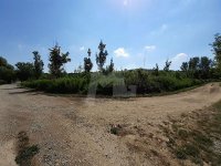 Nekretnina: Plac, Alibegovac, 4196 m2 ID#10416