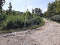 Nekretnina: Plac, Alibegovac, 4196 m2 ID#10416