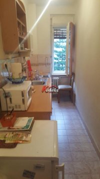 Nekretnina: Jednosoban stan, NOVI SAD, SPENS
