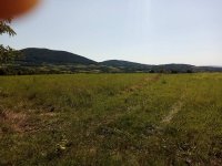 Nekretnina: Imanje na Kosmaju (1ha)