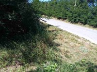 Nekretnina: Imanje na Kosmaju (1ha)