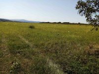 Nekretnina: Imanje na Kosmaju (1ha)