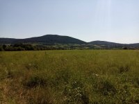 Nekretnina: Imanje na Kosmaju (1ha)