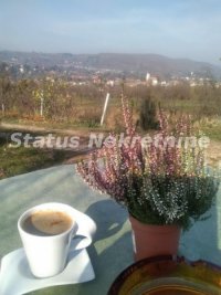 Nekretnina: Vrdnik- Velika Građevinska Parcela 5137 m2 za Turističko Ugostiteljsku namenu-065/385 8880