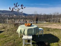Nekretnina: Vrdnik- Velika Građevinska Parcela 5137 m2 za Turističko Ugostiteljsku namenu-065/385 8880