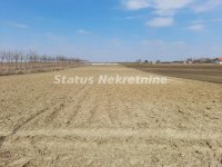 Nekretnina: Novi Futog-Plac 990 m2 u blizini Urbanog dela-065/385 8880