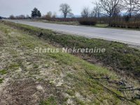 Nekretnina: Futog-Veliki Plac 11863 m2 na Glavnom Magistralnom putu za Bačku Palanku-065/385 8880