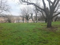 Nekretnina: Petrovaradin-Građevinski Plac 505 m2 kod crkve na Tekijama-065/385 8880