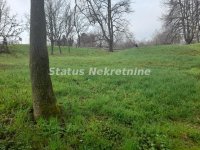 Nekretnina: Petrovaradin-Građevinski Plac 505 m2 kod crkve na Tekijama-065/385 8880