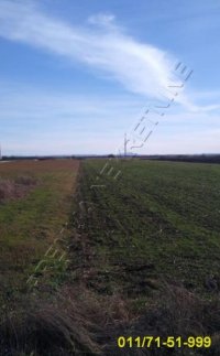 Nekretnina: 227.5 ari, Zemun, Ugrinovci