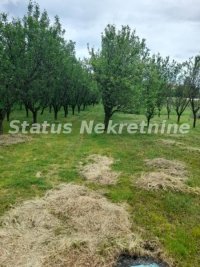 Nekretnina: Vrdnik-Uknjižena Nezavršena kuća 160 m2 u blizini Staze zdravlja-065/385 8880