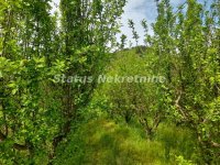 Nekretnina: Vrdnik-Plac 1000 m2 u Mirnom kraju-065/385 8880