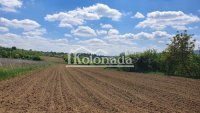 Nekretnina: Poljoprivredno zemljište od 129 ari u Popoviću, Kosmaj, Sopot ID#5221