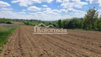 Nekretnina: Poljoprivredno zemljište od 129 ari u Popoviću, Kosmaj, Sopot ID#5221