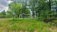 Nekretnina: Plac u hrastovoj šumi, Babe, Sopot, Kosmaj ID#5721