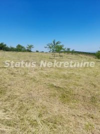 Nekretnina: Petrovaradin-Građevinski Plac 6465 m2 na vrhu Alibegovca za Hotele ili Sportske sadržaje-065/385 888