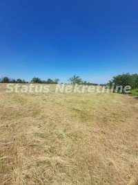 Nekretnina: Petrovaradin-Građevinski Plac 6465 m2 na vrhu Alibegovca za Hotele ili Sportske sadržaje-065/385 888