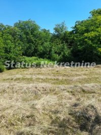 Nekretnina: Petrovaradin-Građevinski Plac 6465 m2 na vrhu Alibegovca za Hotele ili Sportske sadržaje-065/385 888