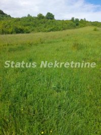 Nekretnina: Vrdnik-Plac 7500 m2 u blizini Fruške Terme-065/385 8880