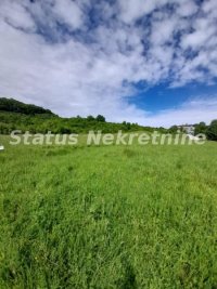 Nekretnina: Vrdnik-Plac 7500 m2 u blizini Fruške Terme-065/385 8880