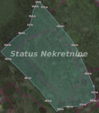 Nekretnina: Vrdnik-Plac 7500 m2 u blizini Fruške Terme-065/385 8880