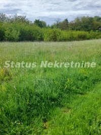 Nekretnina: Vrdnik-Plac 7500 m2 u blizini Fruške Terme-065/385 8880