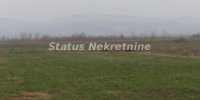 Nekretnina: Futog-Veliki Građevinski Plac 2582 m2 u blizini Dunava na Top Lokaciji-065/385 8880