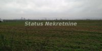 Nekretnina: Futog-Veliki Građevinski Plac 2582 m2 u blizini Dunava na Top Lokaciji-065/385 8880