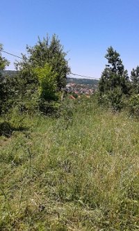 Nekretnina: Plac  50  ari  Sopot  Beograd  