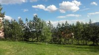 Nekretnina: Plac, Zlatibor, 804 m2 ID#11124