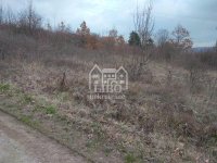 Nekretnina: Plac 9,85 a na putu za Donje Vlase ID#1600