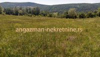 Nekretnina: Boljevac, Rtanj – Rujište 85ari ID#18528