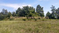 Nekretnina: Boljevac, Rtanj – Rujište 85ari ID#18528