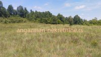 Nekretnina: Boljevac, Rtanj – Rujište 85ari ID#18528