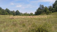 Nekretnina: Boljevac, Rtanj – Rujište 85ari ID#18528