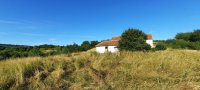 Nekretnina: Prodajem seosku kuću u Barzilovici na 5.8 hektara