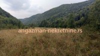 Nekretnina: Boljevac, Rtanj – Jablanica - 77,11ari ID#19054