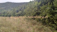 Nekretnina: Boljevac, Rtanj – Jablanica - 77,11ari ID#19054