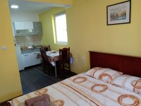 Nekretnina: Soko Banja, Kuća sa apartmanima  336m2