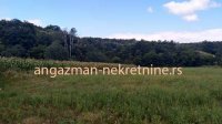 Nekretnina: Boljevac, Rtanj – Jablanica 1ha 28ari i 82kvm ID#19063