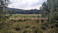 Nekretnina: Boljevac, Rtanj – Jablanica 1ha 28ari i 82kvm ID#19063